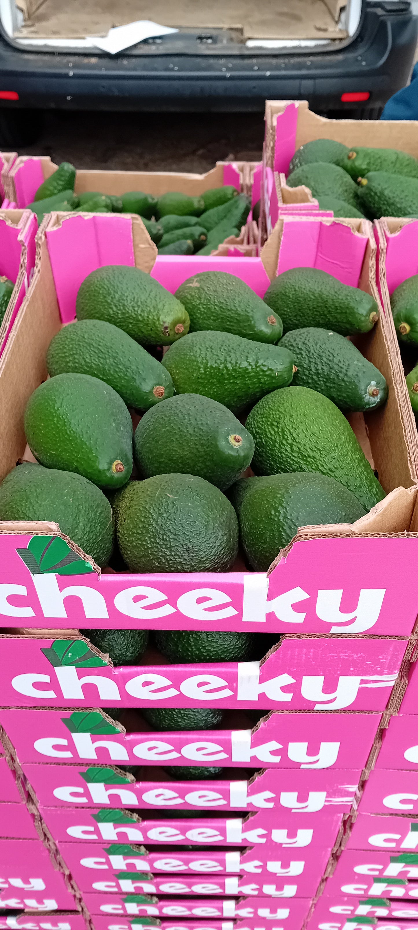 4kg Boxes/trays of Mixed