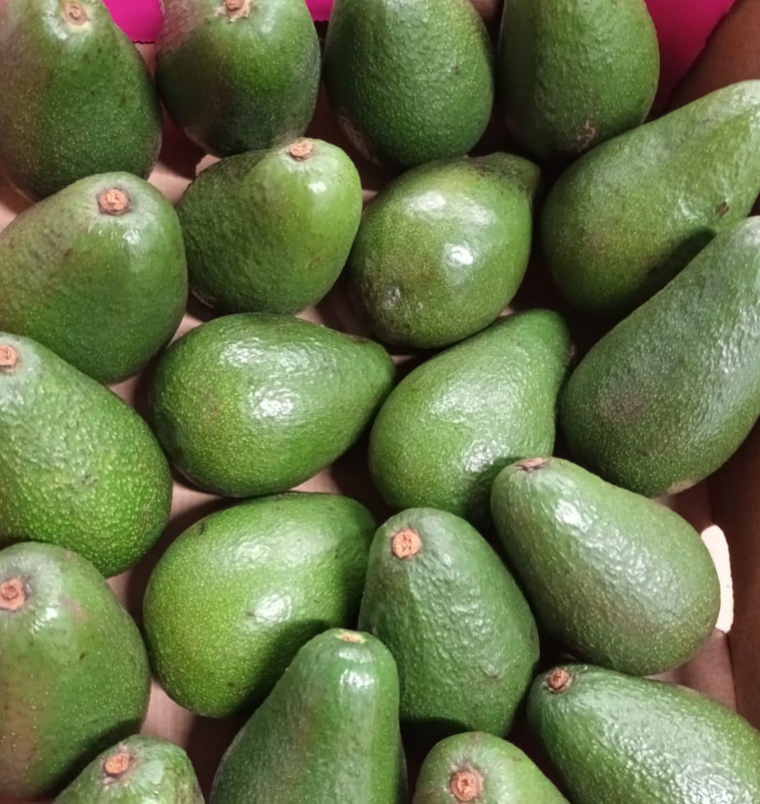 4kg Boxes/trays of Ripe and Ready